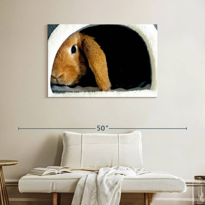 Brampt Rabbit Home, H 26 po x l 39 po