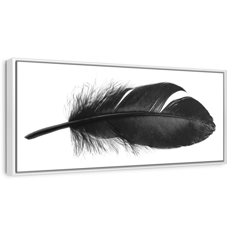 Plume foncée, 46 po x 16 po, Cadre flottant blanc