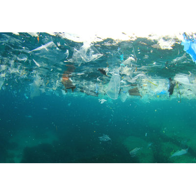 " Plastic Pollution In Ocean "