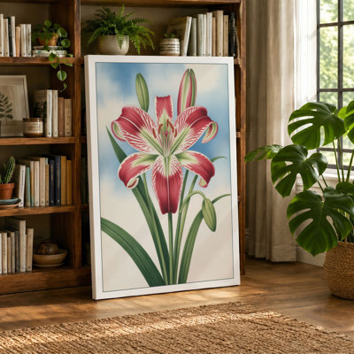 Amaryllis in Bloom Botanical - Wrapped Canvas