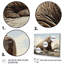 Morse de Regal sur toile-1590597905-1590597933