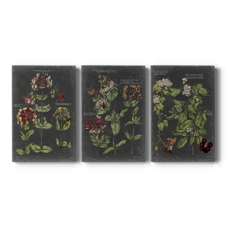 Tableau botanique rétro I - Toile tendue sur mesure - 3 pièces, H 27 po x l 54 po