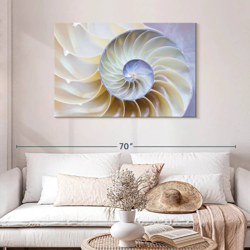 Empty Nautilus Shell, 30" H x 45" W