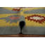 Tapis kilim de style sud-ouest 9 x 12 avec motifs vibrants