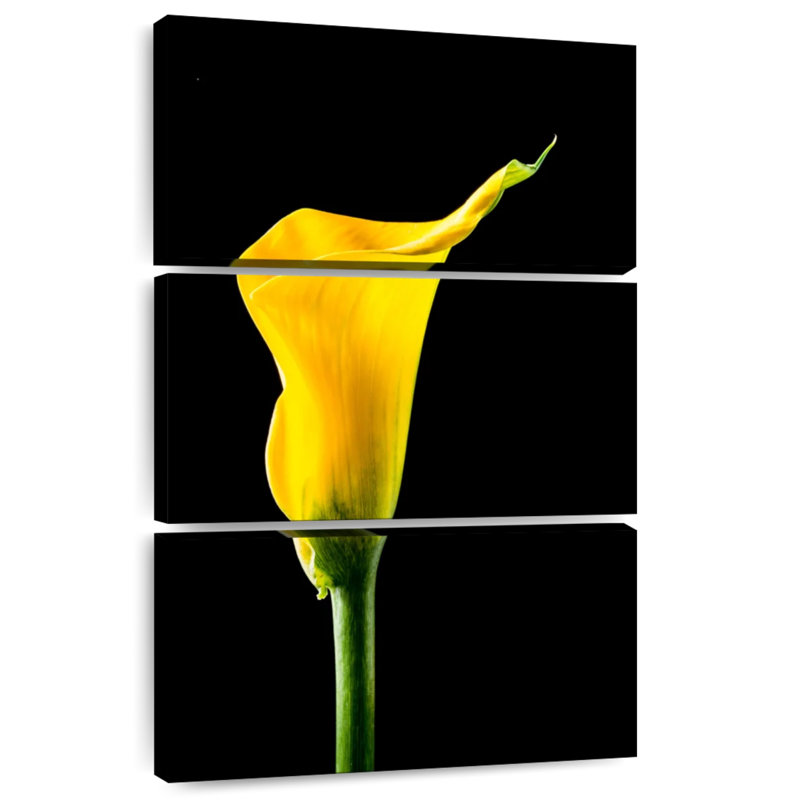 Harnek fleur de lys Calla, H 50 po x l 32 po