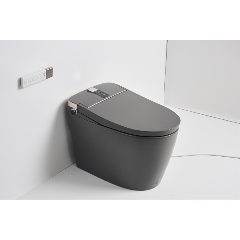 Toilette allongée à bidet au sol avec télécommande et siège de création Creatfry Smart GPF