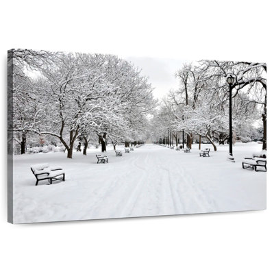 Sireci Snowy Washington Park