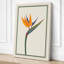 Bird of Paradise Botanical - Wrapped Canvas-821996692-821996904
