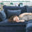 113" W 4 - Piece Chenille Sectional-1829924999