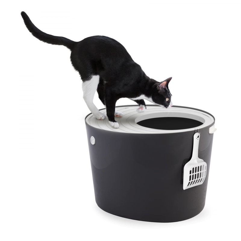 Polypropylene Litter Box, Grey
