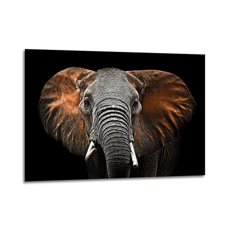 Glasspik Animals - No Frame Print