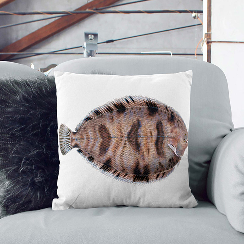 Variegated Sole Fish by Edward Donovan Cushion with Filling, 40cm H x 40cm W x 15cm D, Black