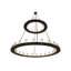 36 - Light Chandelier
