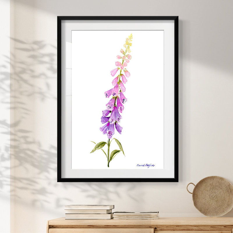 «Annie's Foxglove I», reproduction encadrée