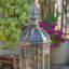 21 po Grand terrarium en fer / verre Monte Carlo-131340673
