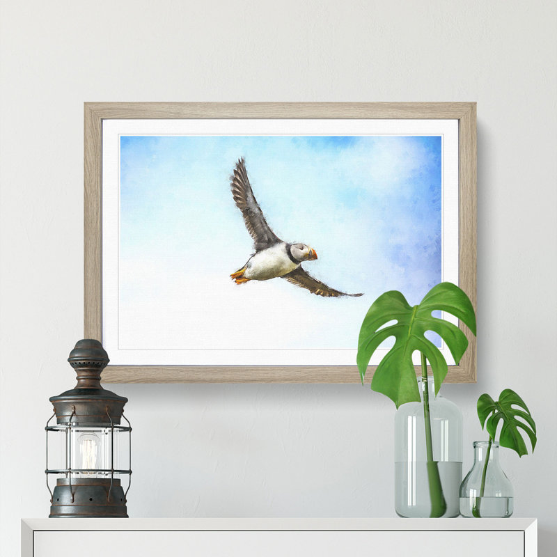 Flying Atlantic Puffin Bird - Picture Frame Graphic Art Print, 45cm H x 63cm W x 2cm D, Oak Framed