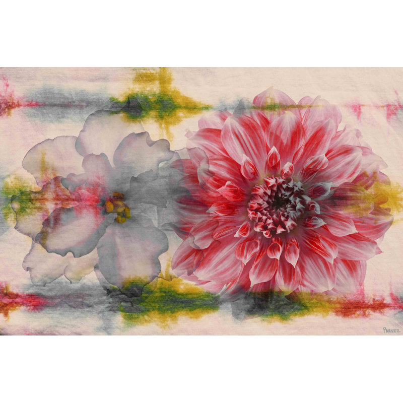 Parvez Taj - Wrapped Canvas Print, 30cm H x 45cm W x 3.81cm D