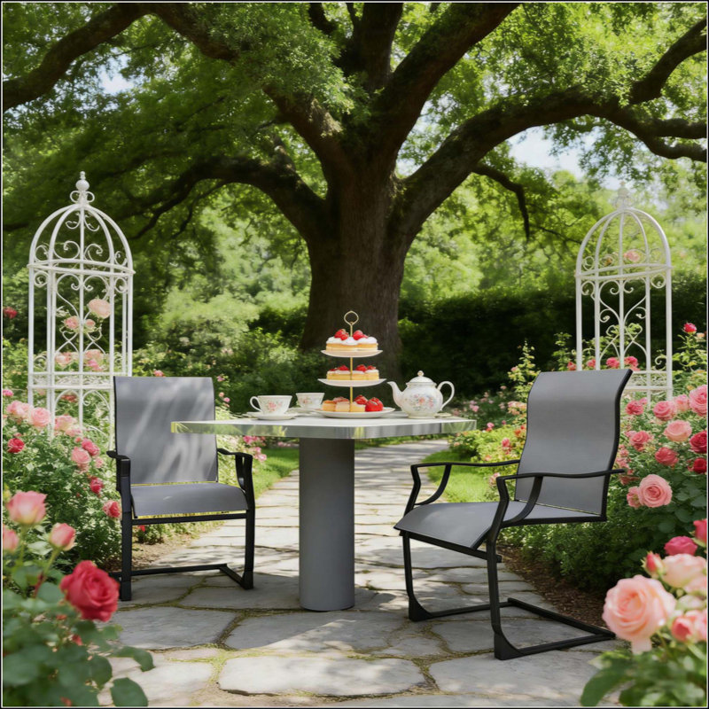 Ensemble de 2 chaises de patio pour l'extérieur