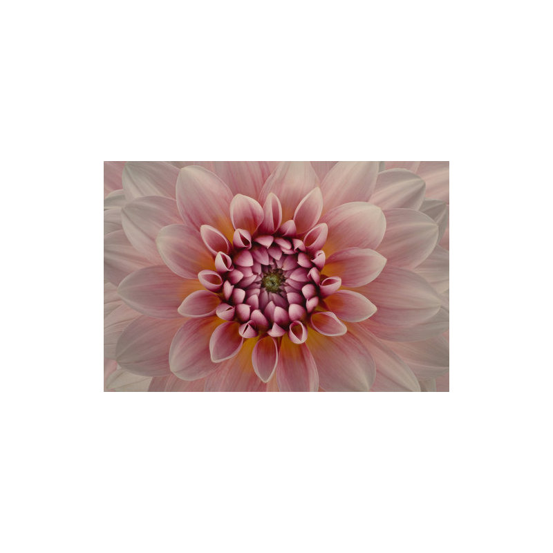 Wrapped Canvas Print, 50.8 cm H x 76.2 cm W
