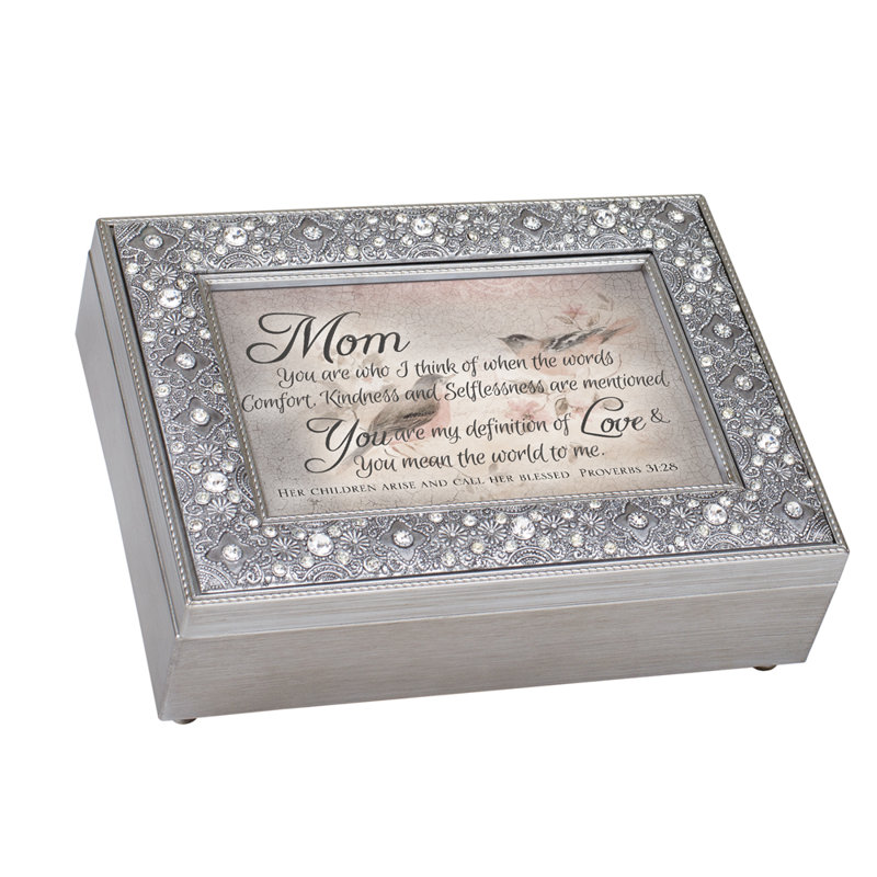 Plastic Memory Box