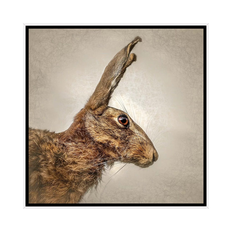 « Hare » par Mark Gemmell-impression d’art graphique, Pas de tapis, H 37 po x l 37 po x P 1,5 po, Toile blanche encadrée