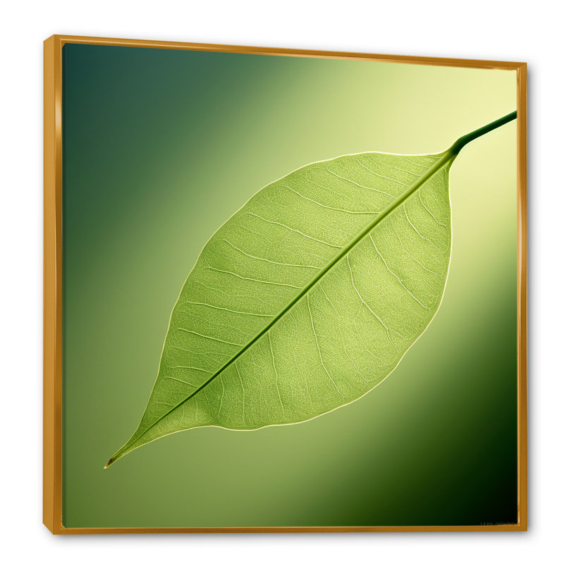 «Lime Lightness Leafy Minimalisme I - Feuilles», impressions sur toile, Cadre flottant doré, H 36 po x l 36 po x P 1,5 po