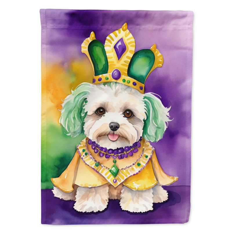 Double Sided 40'' H x 28'' W Polyester Mardi Gras House Flag