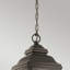 Barnnett Outdoor Hanging Lantern