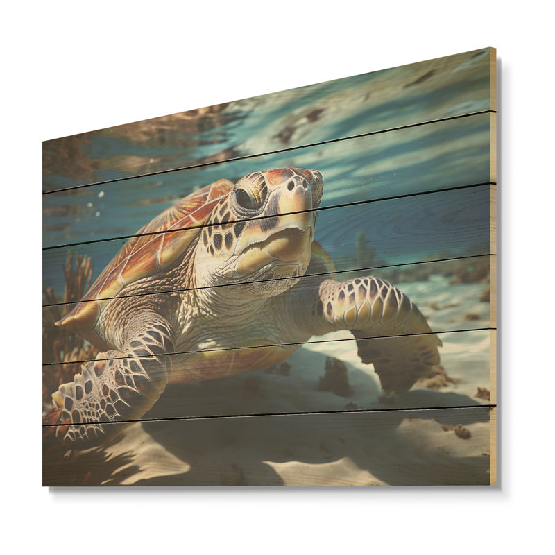Minimalist Lagoon Turtle - Turtle Wood Panel Wall Art On Natural Pine Wood, 24" H x 32" W