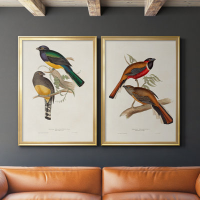 " Elegant Trogons III " 2 - Pieces Painting Print