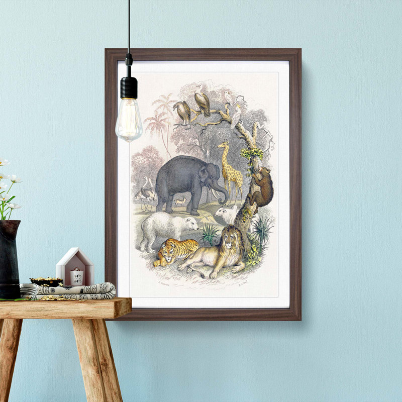 Animal Kingdom Illustration by Oliver Goldsmith - Single Picture Frame Painting, 63cm H x 45cm W x 2cm D, Walnut Framed