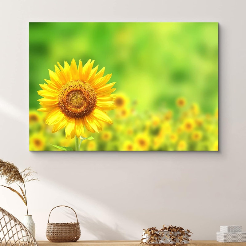 Tournesol sur fond de pétales de tournesol, H 16 po x l 24 po