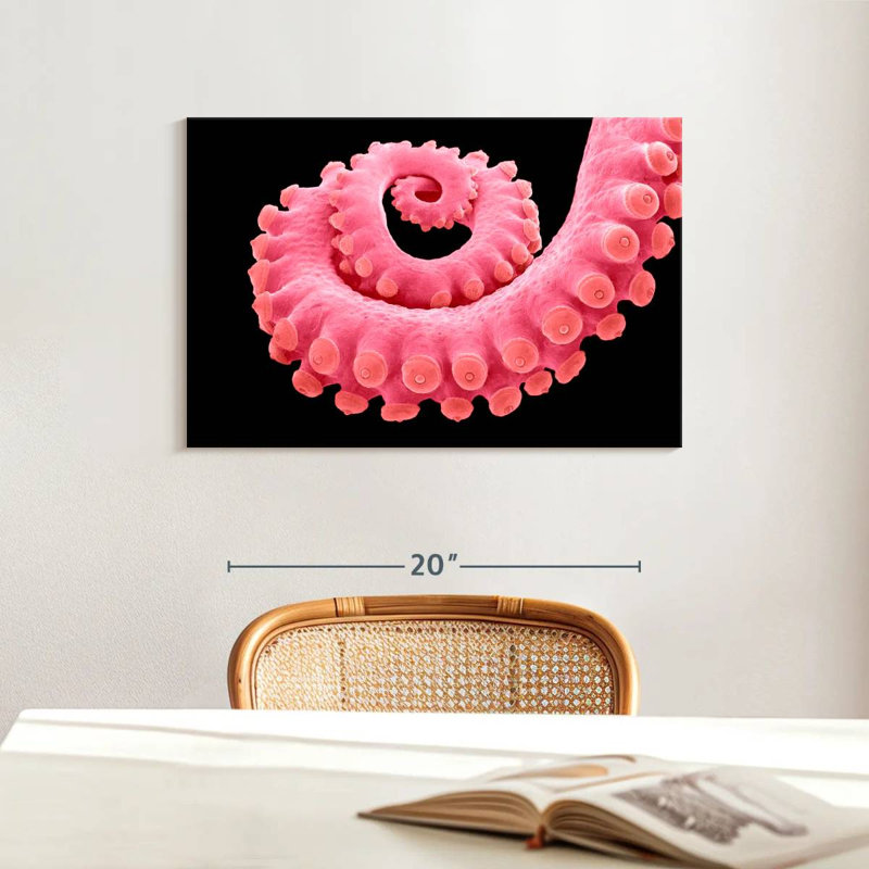 Brampt Pink Octopus Tentacle, 16" H x 24" W