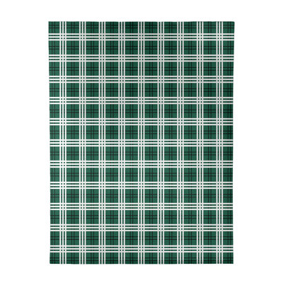 Plaid Indoor Rug