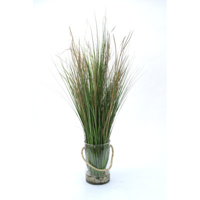 55 " H Faux Foliage Grass in Glass Planter