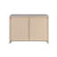 Grey Driftwood 2-door Accent Cabinet