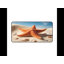 Desk Pad-650776928
