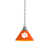 Clemson Tigers