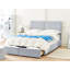 Okeden Upholstered Velvet Drawers Bed-324421168-324421169