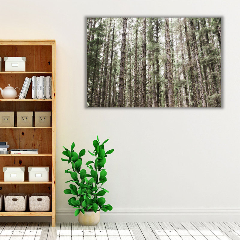 «Mossy Pines», reproduction d'art sur toile, H 20 po x l 30 po