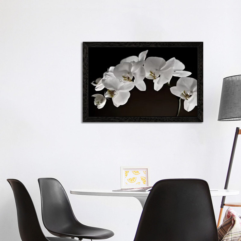 Orchids - Floater Frame Print on Canvas, Black, 101.6 cm H x 66.04 cm W