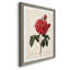 Red Botanical III - cadre photo, impression sur toile-61317224-61317230