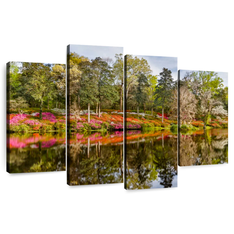 Alvord Forest Azaleas