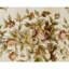 Hand Knotted Area Rug in Brown And Cream