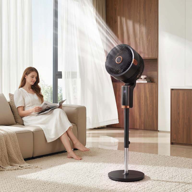 Air Circulator Fan, Black