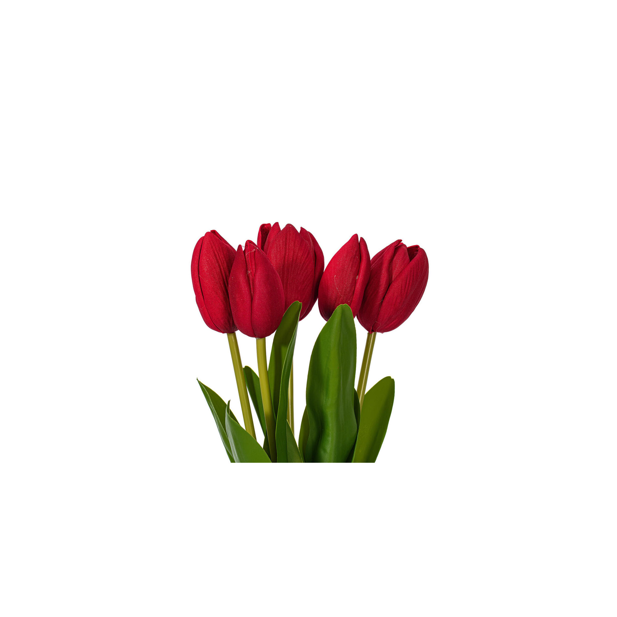 16"H Plum Tulip Bundle of 5., Red
