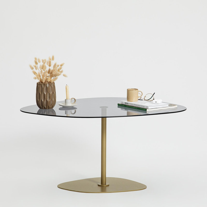 Table basse moderne avec plateau en verre trempé, gris foncé et or, 33,5 po x 15,7 po x 26,4 po | Pieds robustes en métal, démontés pour un assemblage facile | Design élégant pour le salon et les espaces de détente, élégant et fonctionnel
