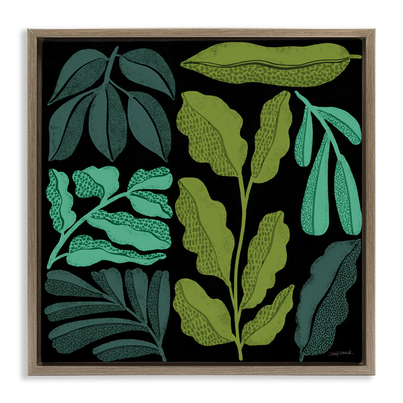 «Plant Sprig Collage» par Cheryl Warrick, Cadre flottant orme Montalcino, H 18 po x l 18 po