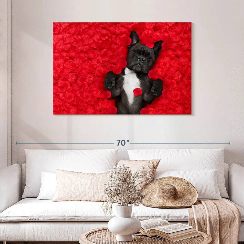 Bouledogue français Brampt Valentines, H 30 po x l 45 po