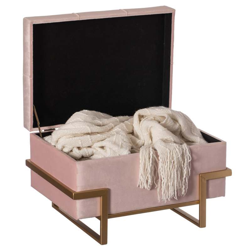 Repose-pieds de rangement rectangulaire en velours avec rangement 14 po Havenhill, Rose